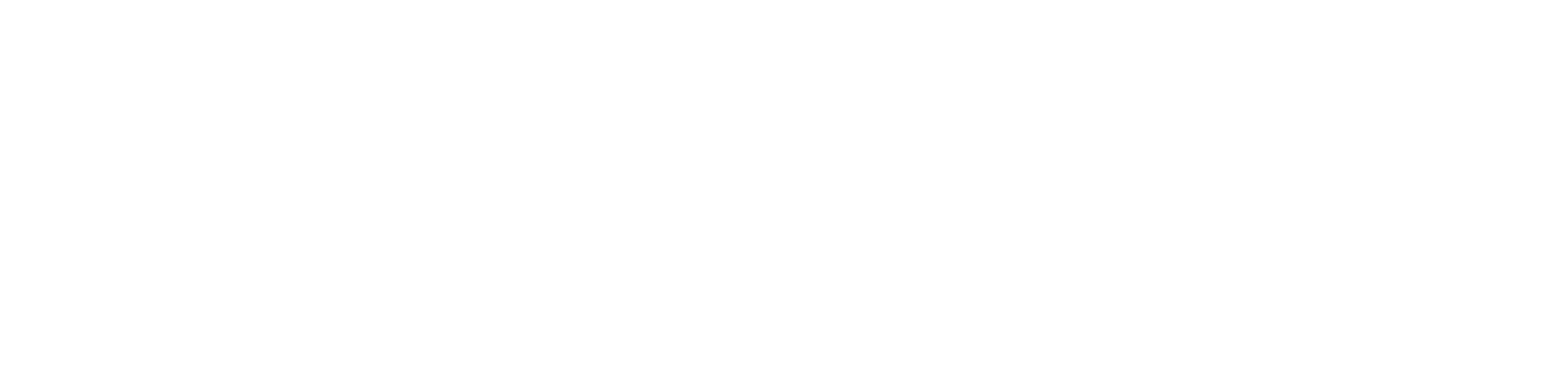 University of Windsor Logo